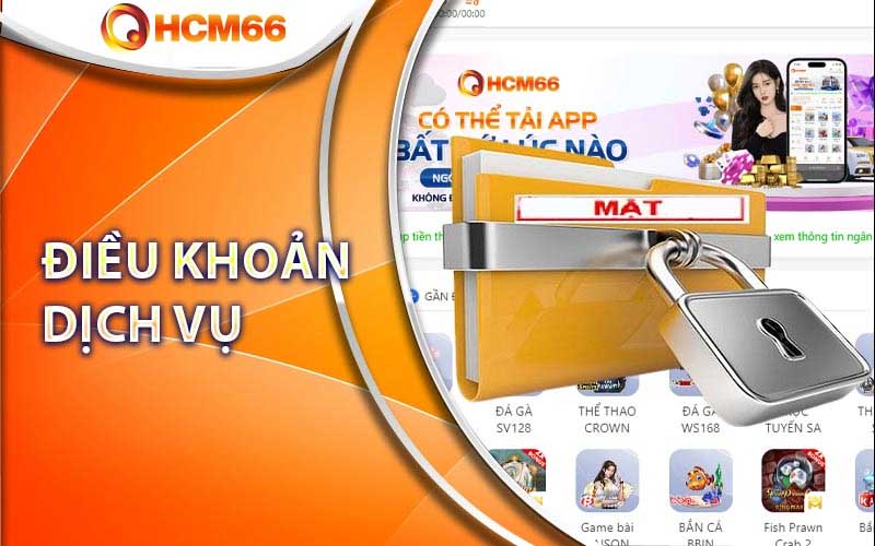 Điều khoản và điều kiện Hcm66